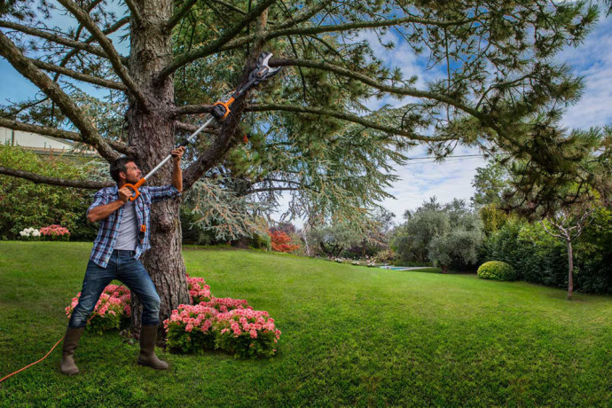 Цепная пила WORX JawSaw WG329E.5, 20v, 15 см, в комплекте АКБ 2 А·ч и ЗУ (аккумуляторная)